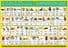 S-75 English Spelling Chart A5 (Handy two-sided deskchart for Individuals)